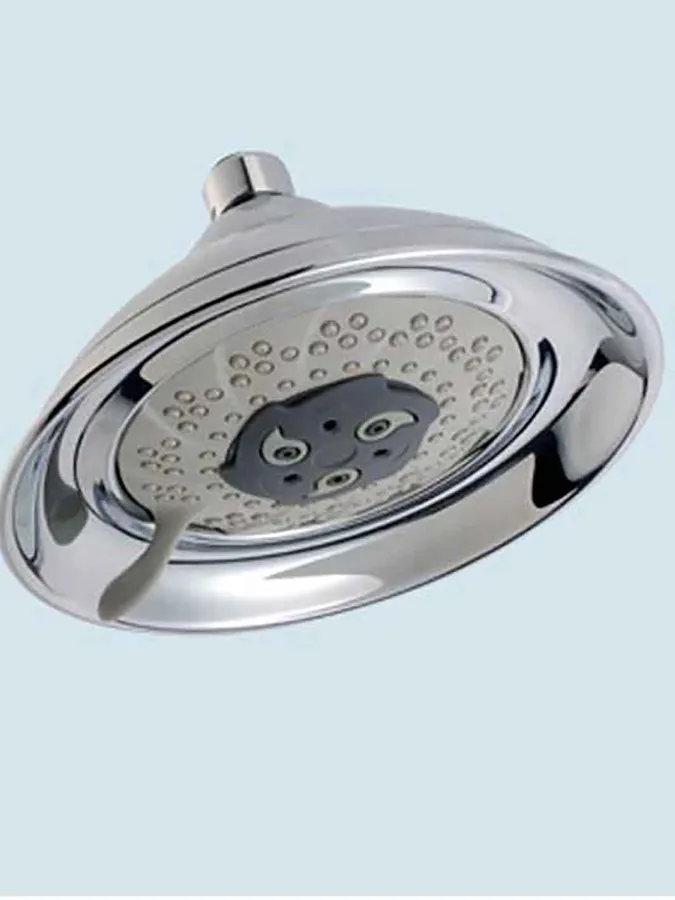 Shower Head and Arm