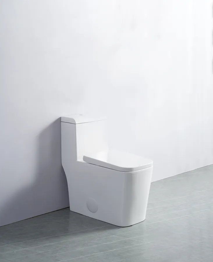 White Toilet