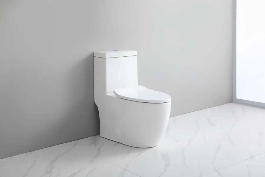 White Toilet