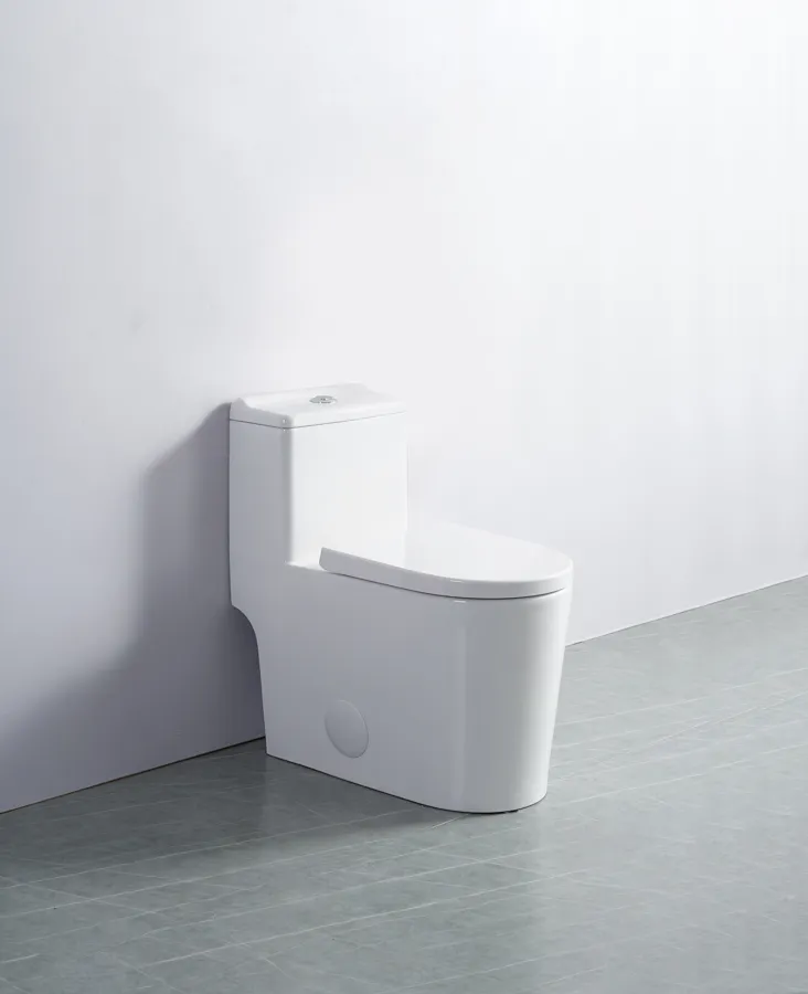 White Toilet