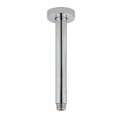 C010-C Ceiling shower arm