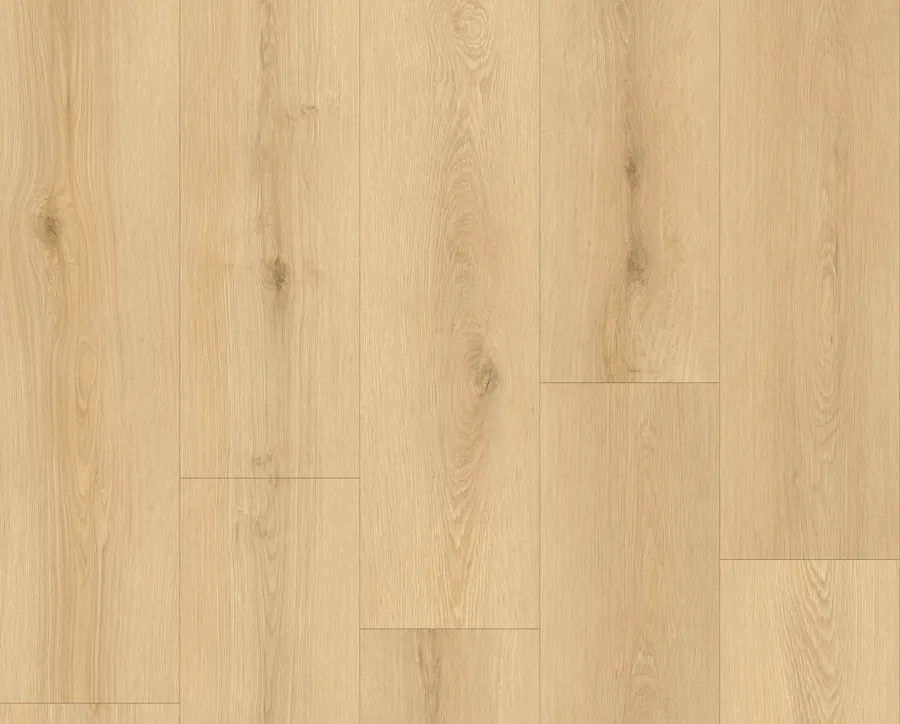 Aura Oak
