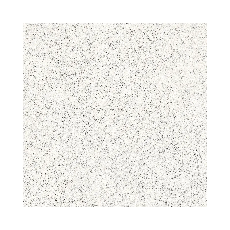 TACOMA 24*24