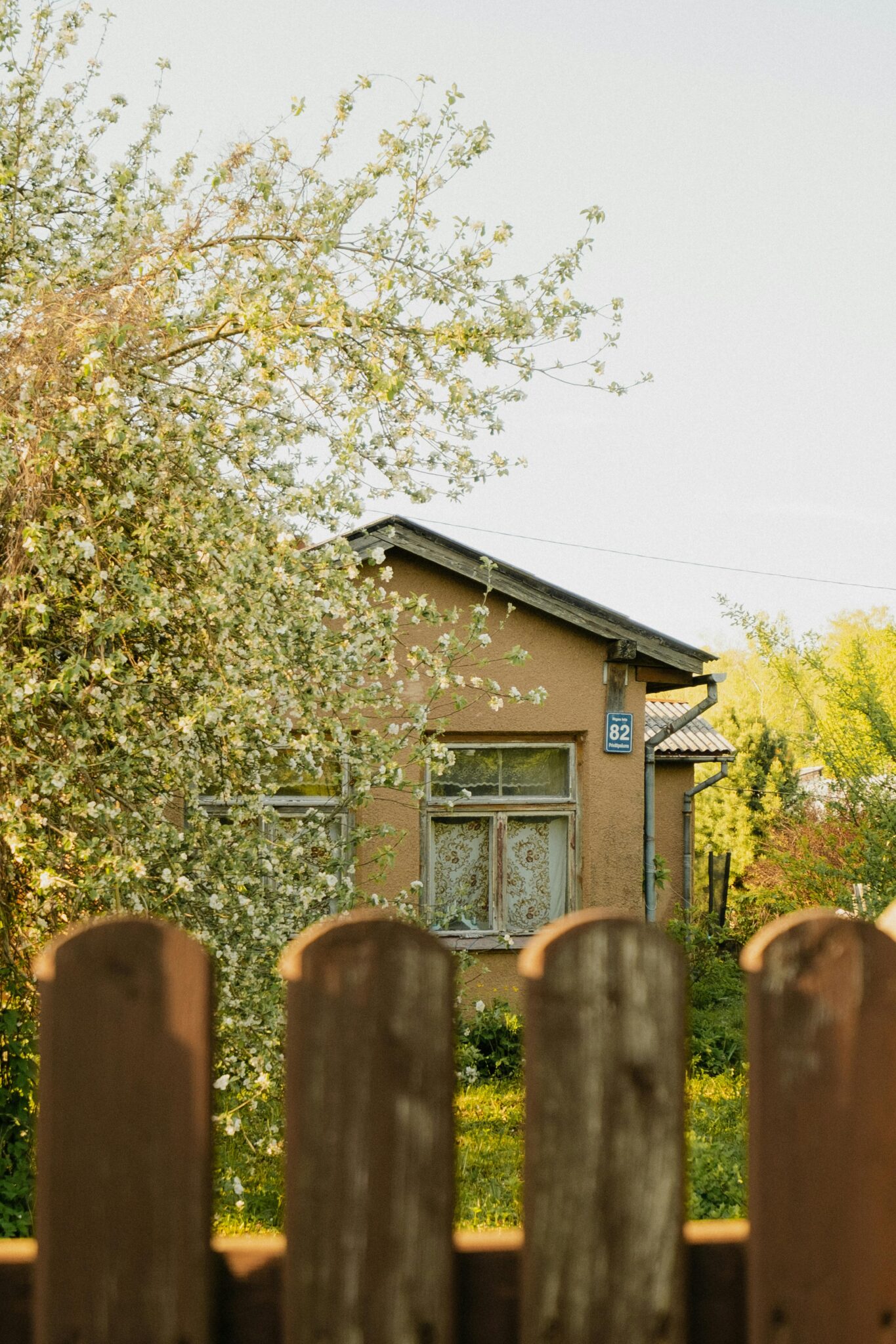 A quaint cottage amidst blossoming trees, perfect setting for peaceful living.