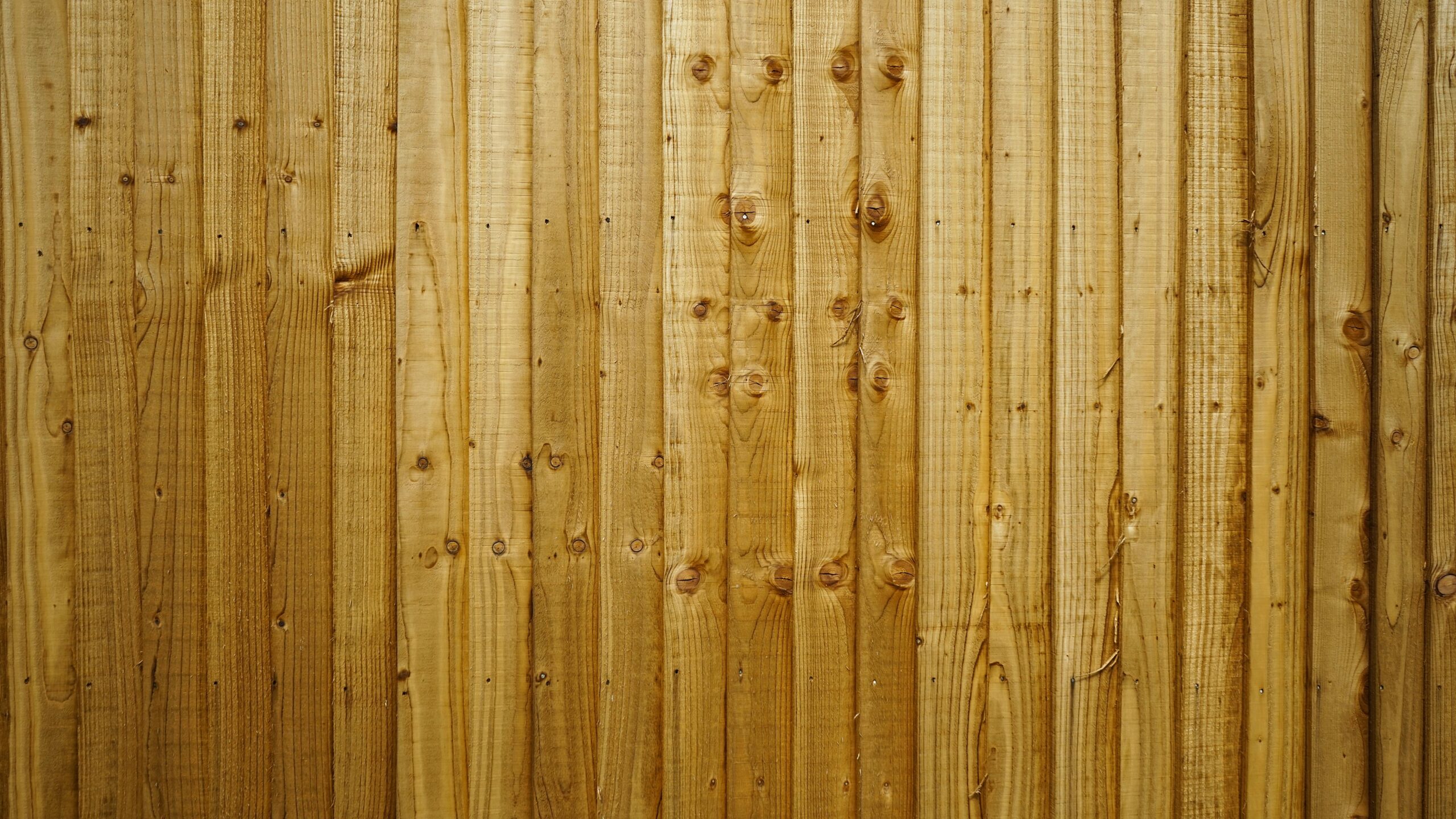High-resolution texture of a wooden fence showing natural knots and lines. Perfect for background use.